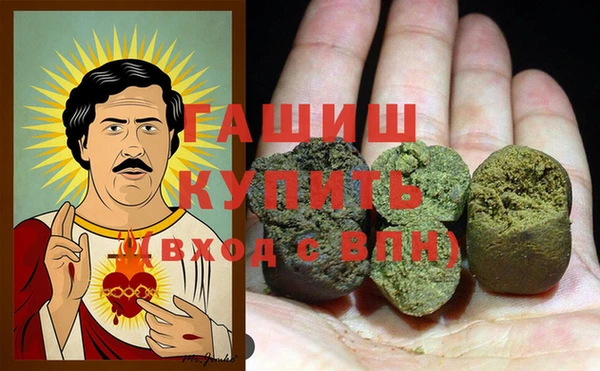 прущие грибы Инта