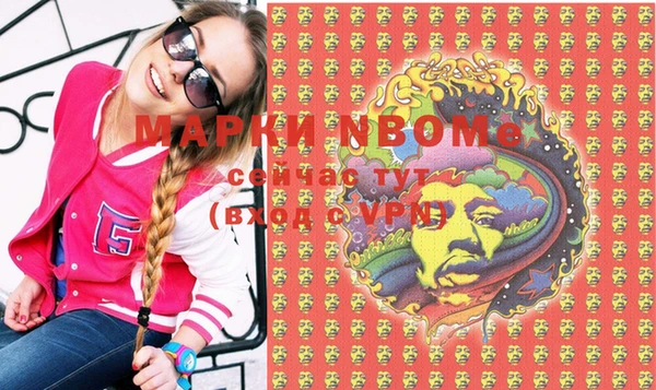прущие грибы Инта